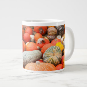 Verscheidenheid aan pompoenen te koop, Duitsland Grote Koffiekop