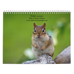 Verscheidenheid aan wilde dieren 2025 kalender