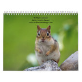 Verscheidenheid aan wilde dieren 2026 kalender (Hoes)