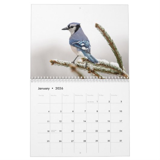 Verscheidenheid aan wilde dieren 2026 kalender (Jan 2026)