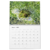 Verscheidenheid aan wilde dieren 2026 kalender (Mar 2027)