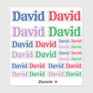 Verscheidenheid van Grootte van de Naam David Sticker