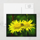 Verschil Briefkaart (Voorkant / Achterkant)