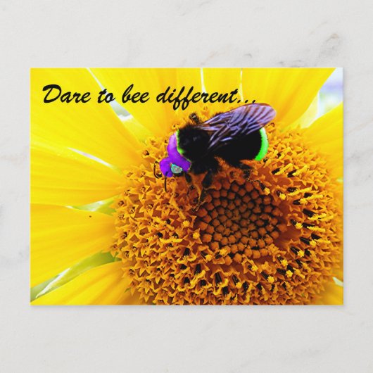 Verschil Briefkaart (Voorkant)