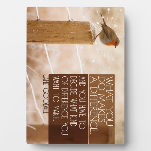 Verschil dat je wilt maken fotoplaat (voorkant)