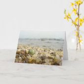 Verschil - Shell en Kiezelstenen bij het strand Kaart (Gele Bloem)