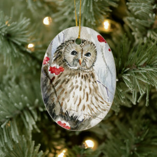 Verschilderen van de waterverf van Barred Owl Keramisch Ornament