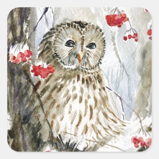 Verschilderen van de waterverf van Barred Owl Vierkante Sticker (Voorkant)