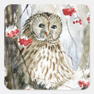 Verschilderen van de waterverf van Barred Owl Vierkante Sticker