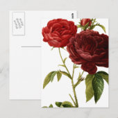 Verschilderen van dieprode  rozen briefkaart (Voorkant / Achterkant)