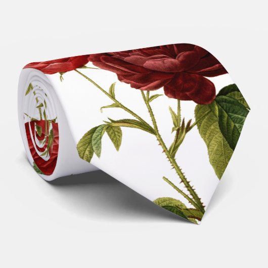 Verschilderen van dieprode  rozen stropdas (Opgerold)