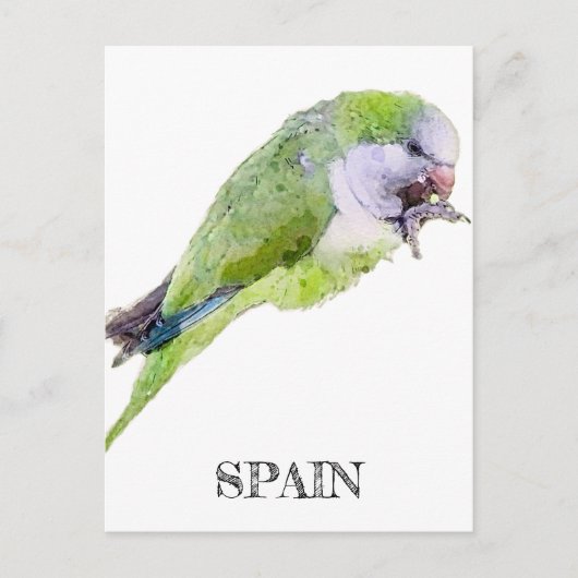 Verschilderen van groene papegaaien waterverf briefkaart (Voorkant)