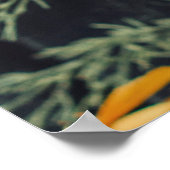 Verschillende bloemen op de zwarte houten achtergr poster (Hoek)