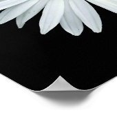 Verschillende bloemen van de familie Asteraceae. Poster (Hoek)