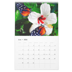 Verschillende foto's van vlinders met bloemen kalender