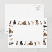 Verschillende hondenrassen in een rij briefkaart (Voorkant / Achterkant)