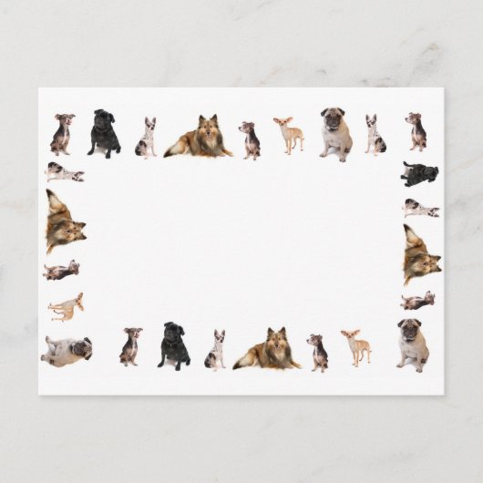 Verschillende hondenrassen in een rij briefkaart (Voorkant)