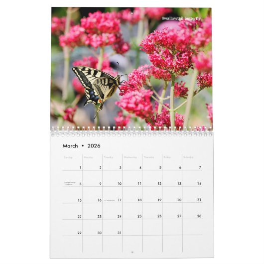 Verschillende insecten en bloemen 12 maanden kalen kalender (Mar 2026)