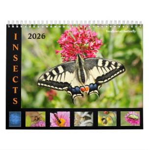 Verschillende insecten en bloemen 12 maanden kalen kalender