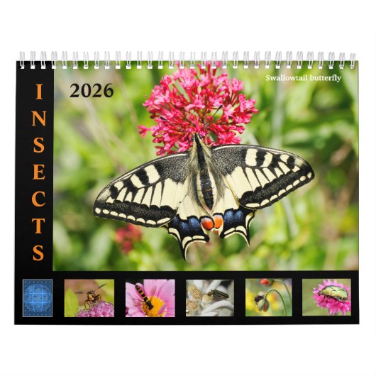 Verschillende insecten en bloemen 12 maanden kalen kalender (Hoes)