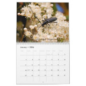 Verschillende insecten en bloemen 12 maanden kalen kalender (Jan 2026)