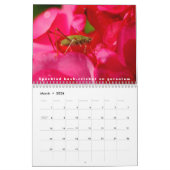 Verschillende insecten en bloemen 12 maanden kalen kalender (Mar 2026)