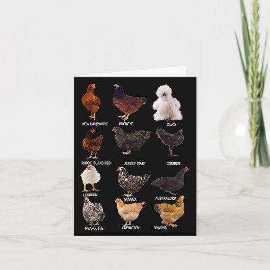 Verschillende kippenrassen gids New Hampshire Boer Kaart (Voorkant)