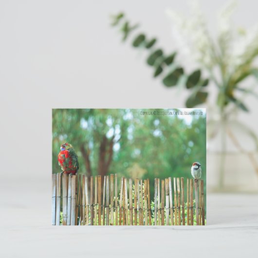 Verschillende Minds Briefkaart (Staand voorkant)