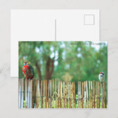 Verschillende Minds Briefkaart (Voorkant / Achterkant)