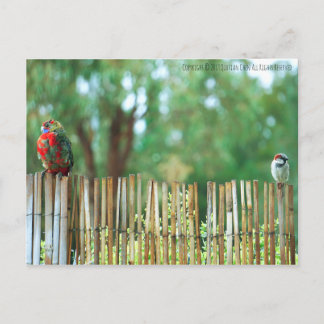 Verschillende Minds Briefkaart