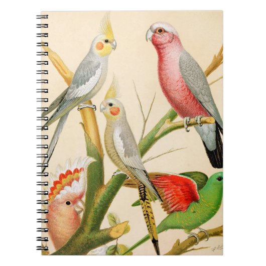 Verschillende paraketten notitieboek (Voorkant)