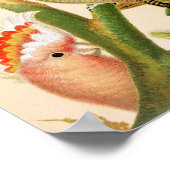 Verschillende paraketten poster (Hoek)