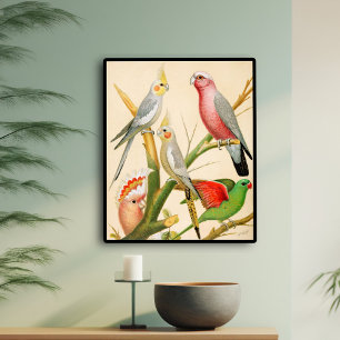 Verschillende paraketten poster