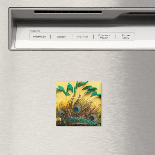 Verschillende Peacock-veren Magneet (Insitu (Vaatwasser))