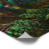 Verschillende Peacock-veren Poster (Hoek)