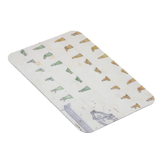 Verschillende posities van het lichaam tijdens het magneet (Rechterzijde)