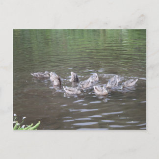 verschillende scènes van alaska briefkaart