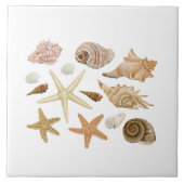 Verschillende seizoenshells zeestervis tegeltje (Voorkant)