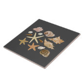 Verschillende seizoenshells zeestervis tegeltje (Zijkant)