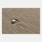 Verschillende shell foto's van Zee Inpakpapier Vel (Voorkant 3)