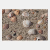 Verschillende shell foto's van Zee Inpakpapier Vel (Voorkant 2)