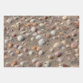 Verschillende shell foto's van Zee Inpakpapier Vel (Voorkant)