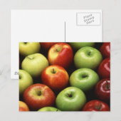 Verschillende soorten appelen briefkaart (Voorkant / Achterkant)