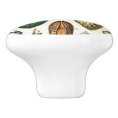 Verschillende soorten eieren wetenschappelijke ill keramische knop (Zijkant)