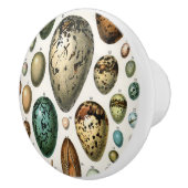Verschillende soorten eieren wetenschappelijke ill keramische knop (Rechts)