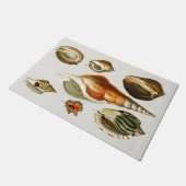  Verschillende soorten schelpen van weekdieren  Deurmat (Schuin)