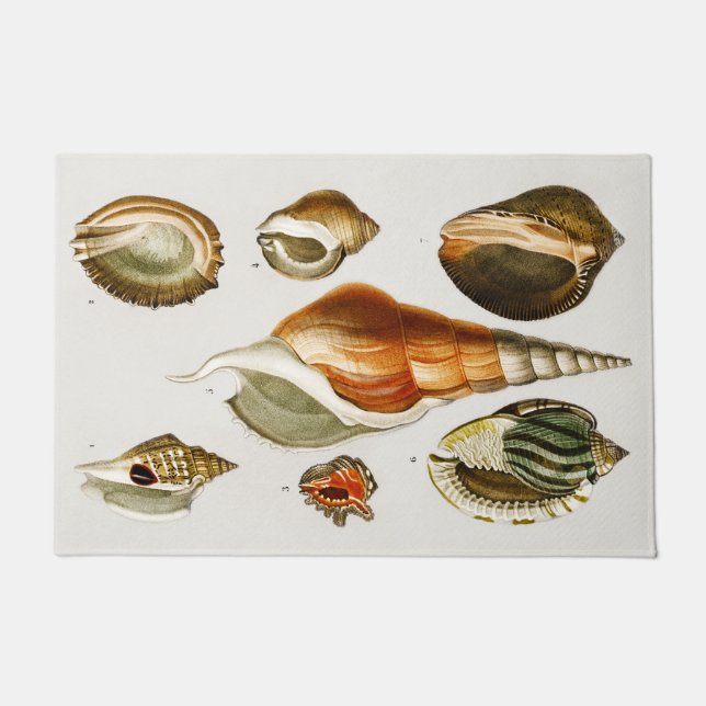  Verschillende soorten schelpen van weekdieren  Deurmat (Voorkant)