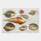  Verschillende soorten schelpen van weekdieren Theedoek (Horizontaal)