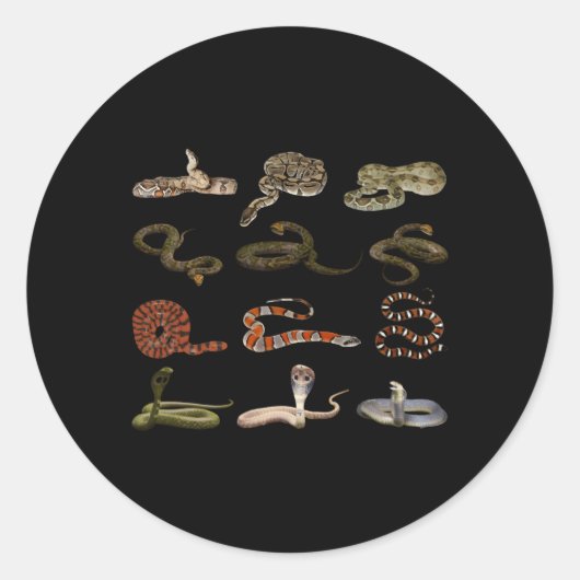 Verschillende soorten snakes Educational Service Ronde Sticker (Voorkant)
