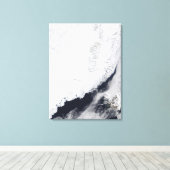 Verschillende soorten zee-ijs canvas afdruk (Insitu (Houten vloer))